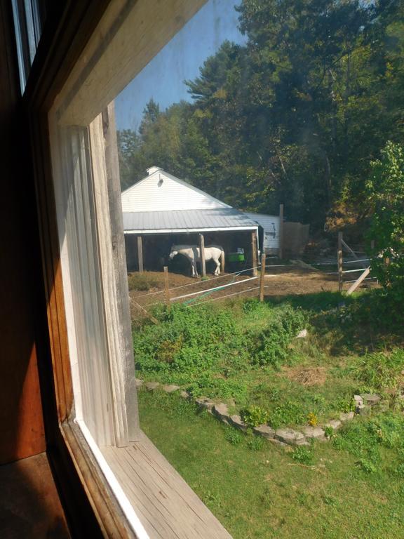 No View Farm Bed and Breakfast Rumford Eksteriør billede