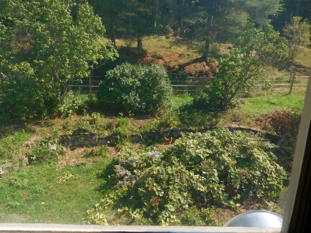 No View Farm Bed and Breakfast Rumford Eksteriør billede